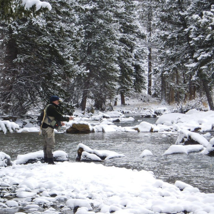 Go-To Midge Larva for the Winter Season - Pat Dorsey - Nextwavemarket