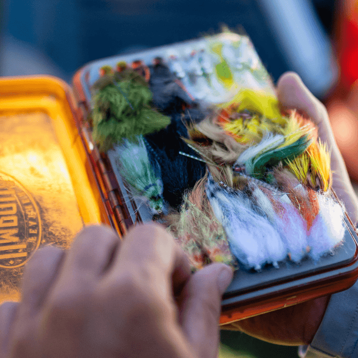 Streamer Fishing Game Changer - Nextwavemarket