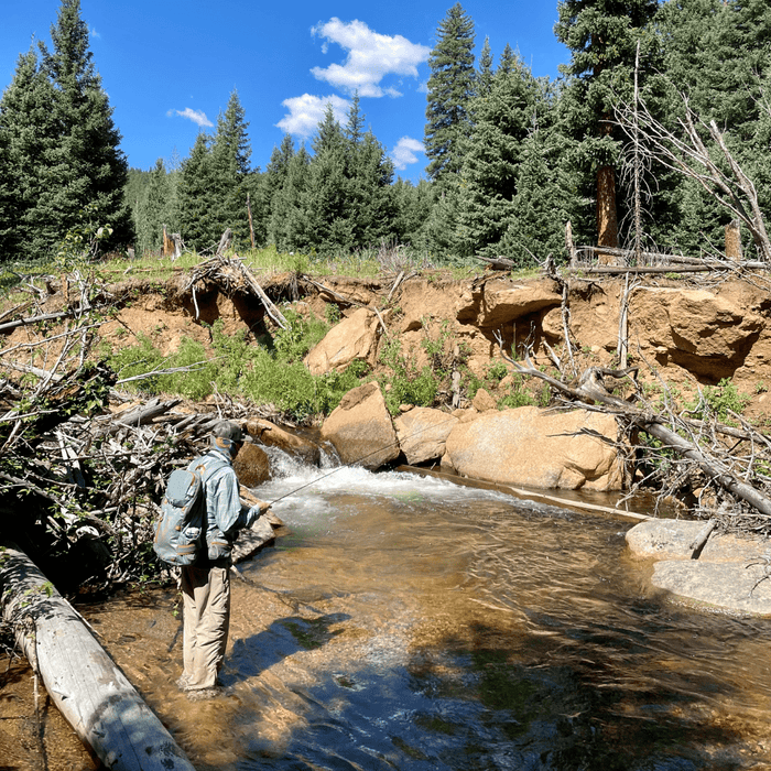 Wet Wade Your Way Through Summer Fly Fishing - Nextwavemarket