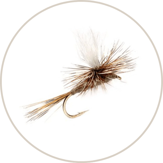 Flies-Dry-Flies - Nextwavemarket