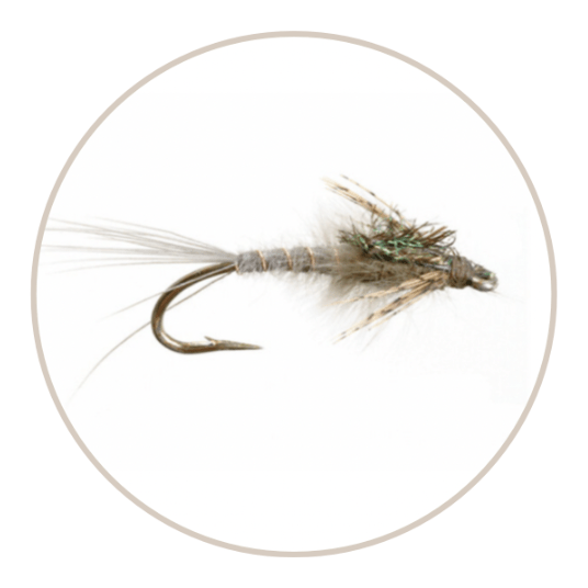 Sale - Flies - Nextwavemarket