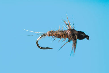 BH Anatomical Callibaetis - Nextwavemarket