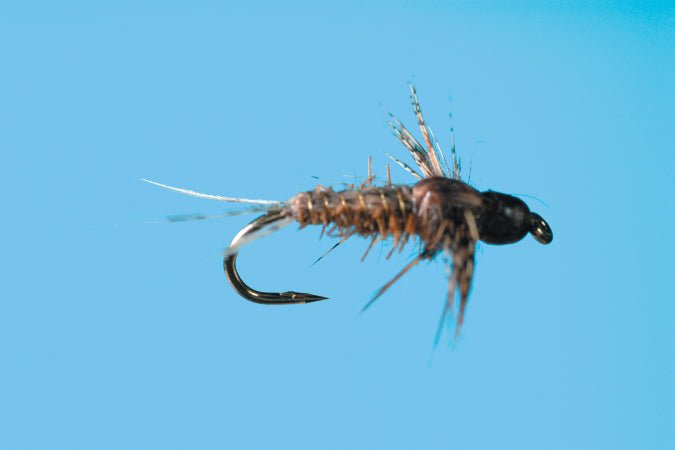 BH Anatomical Callibaetis - Nextwavemarket