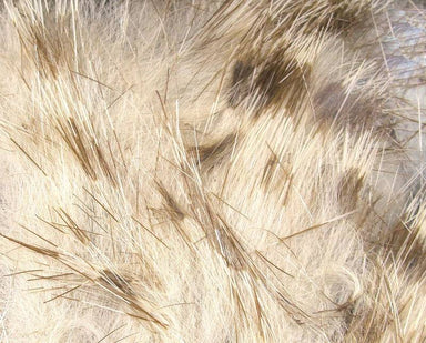 Brown Barred Rabbit Strip - Nextwavemarket