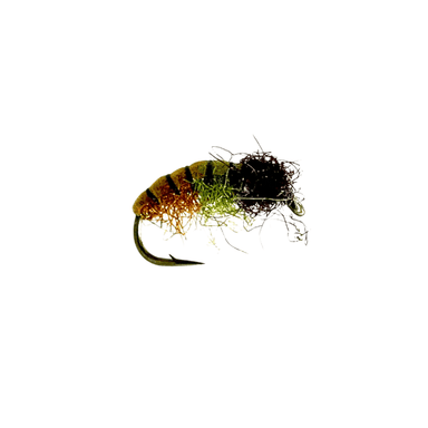 Cased Caddis Czech Nymph - Nextwavemarket
