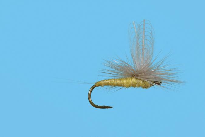 CDC PMD Dun - Nextwavemarket