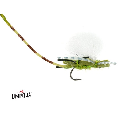 Chubby Damsel - Nextwavemarket