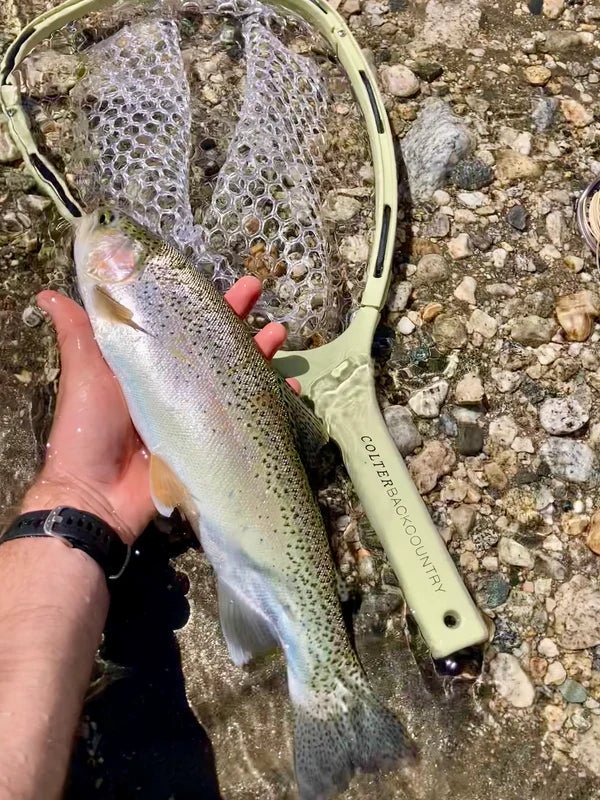 Colter Backcountry - Thorofare Net - Nextwavemarket