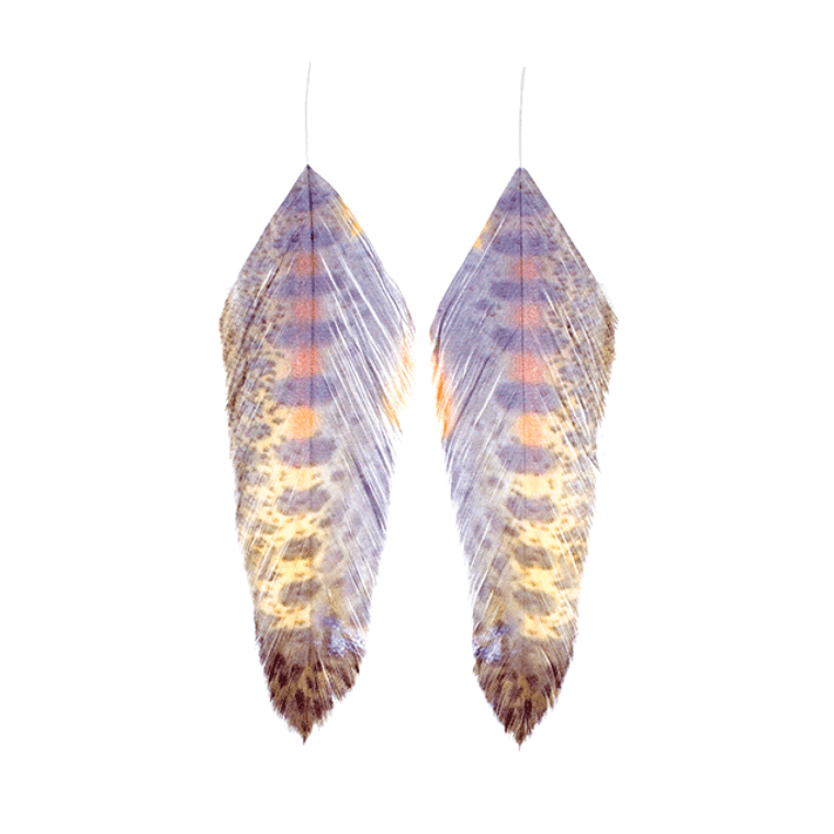 Galloup's Fish Feathers - Nextwavemarket
