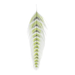 Galloup's Fish Feathers - Nextwavemarket