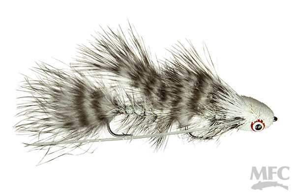 Galloup's Mini Dungeon - 6 - Nextwavemarket