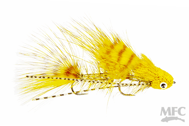 Galloup's Mini Dungeon - 6 - Nextwavemarket