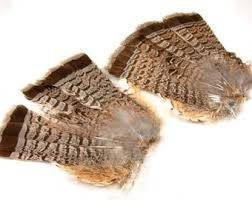 Grouse Tails - Nextwavemarket