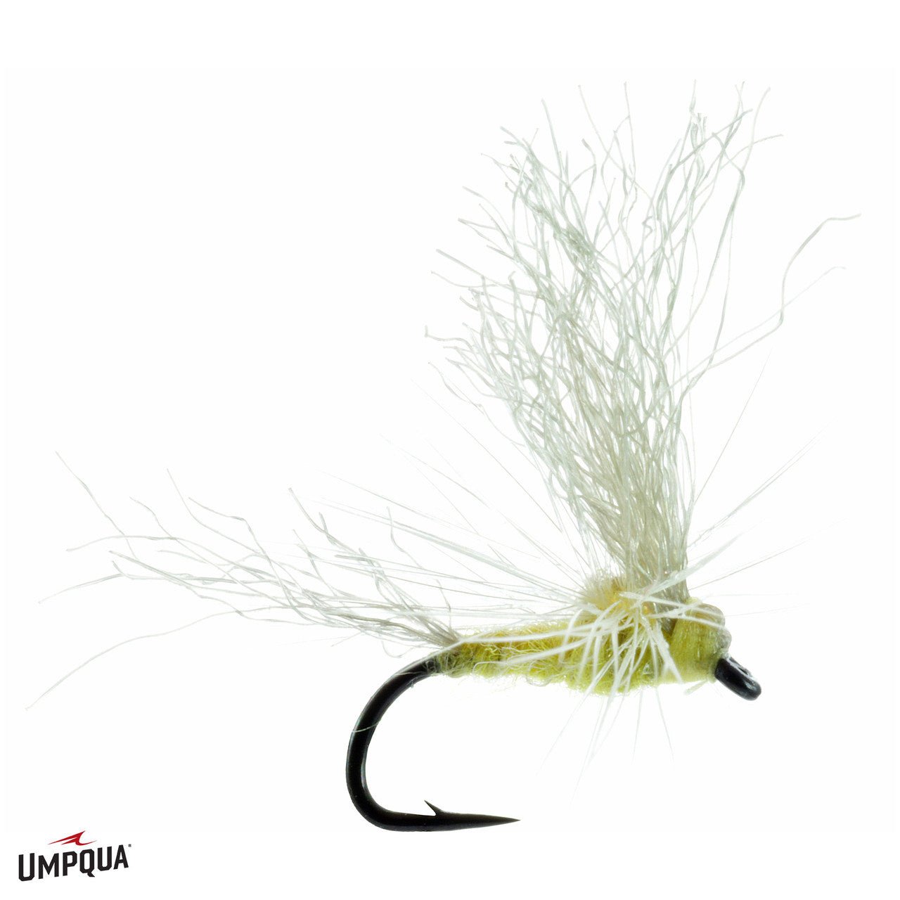 Morrish May Day - Nextwavemarket