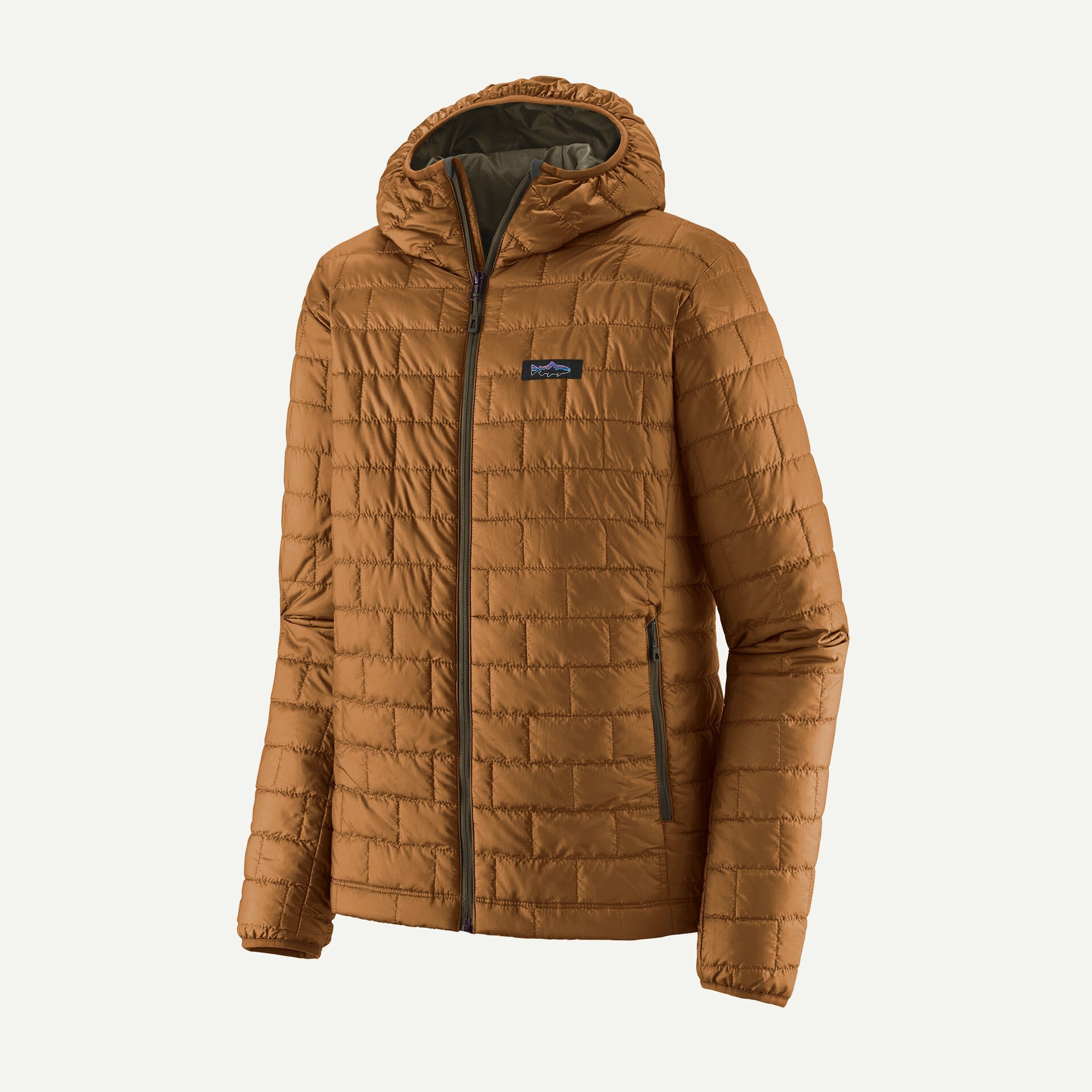 M's Nano Puff Fitz Roy Trout Hoody - Nextwavemarket