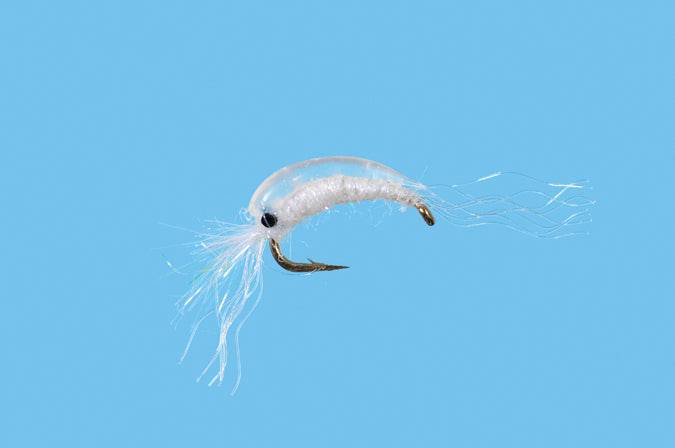 Mysis BTS - Nextwavemarket