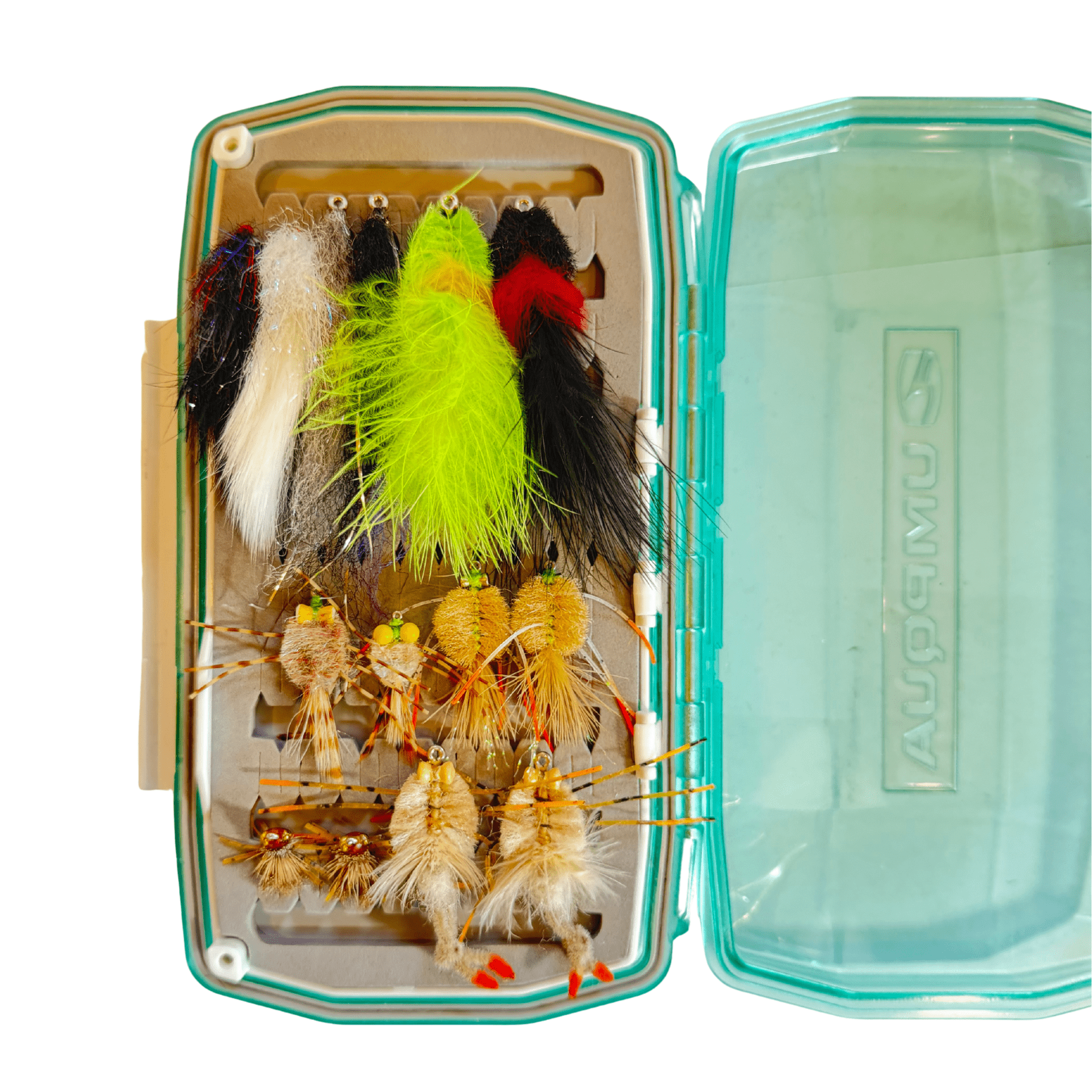 Premium Belize & Mexico Fly Assortment w/ Box - Nextwavemarket