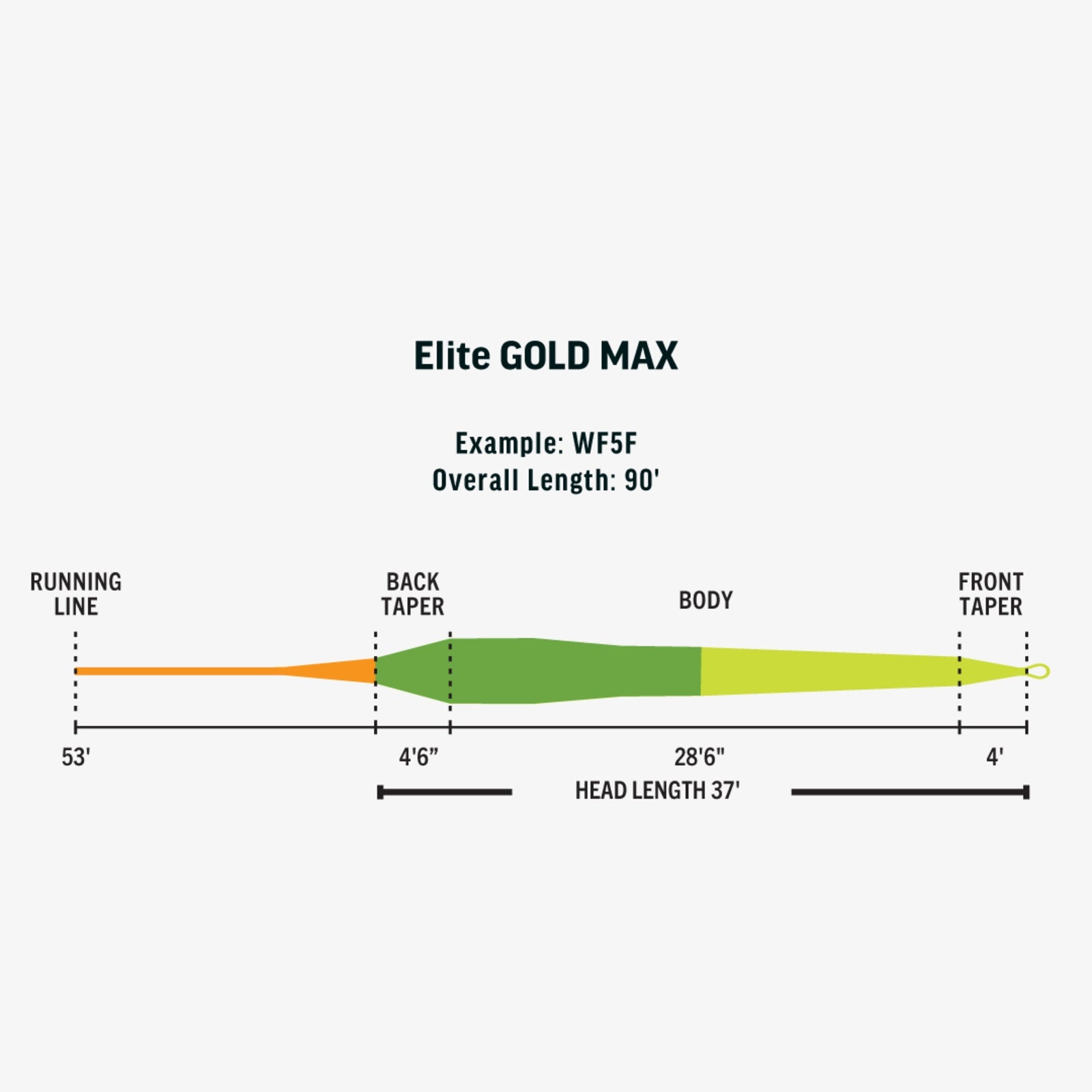 Rio Elite Gold MAX - Nextwavemarket