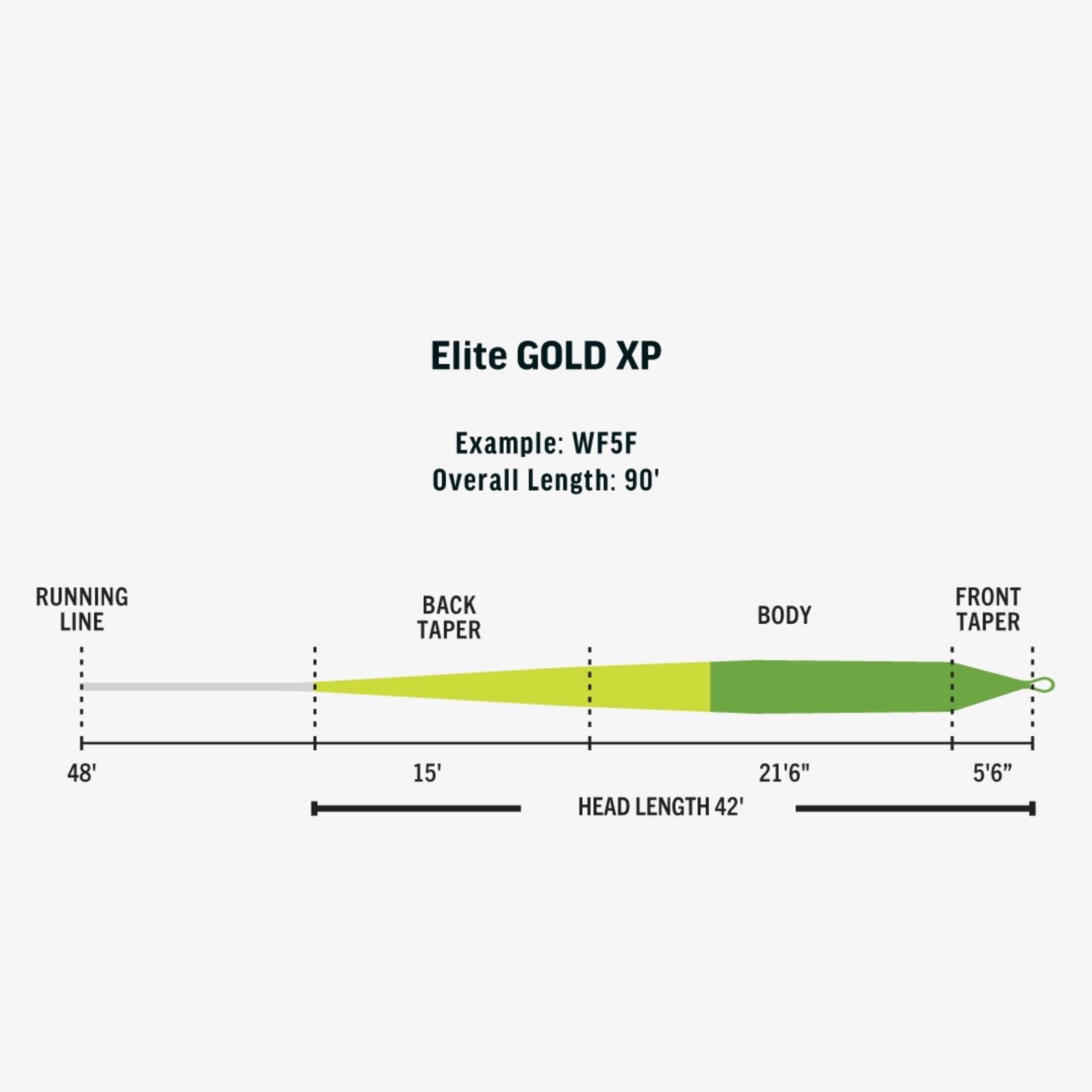 Rio Elite Gold XP - Nextwavemarket