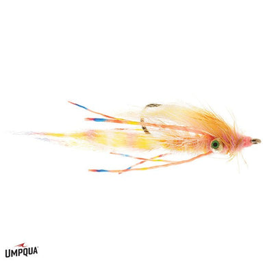 Schmidt's Reefer Mantis - Nextwavemarket