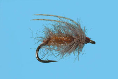 Translucent Pupa - Nextwavemarket