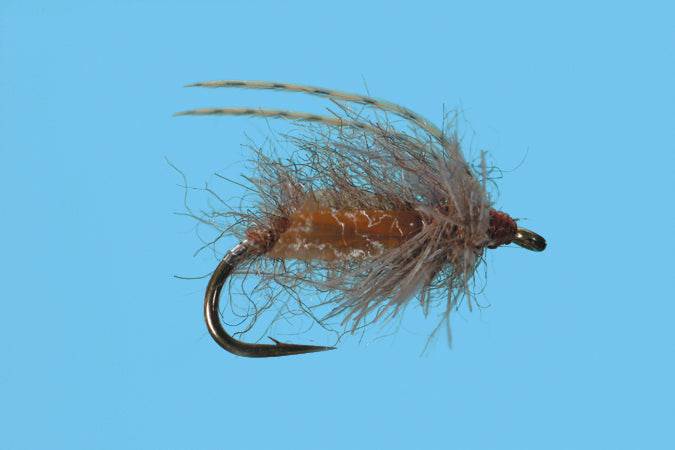 Translucent Pupa - Nextwavemarket