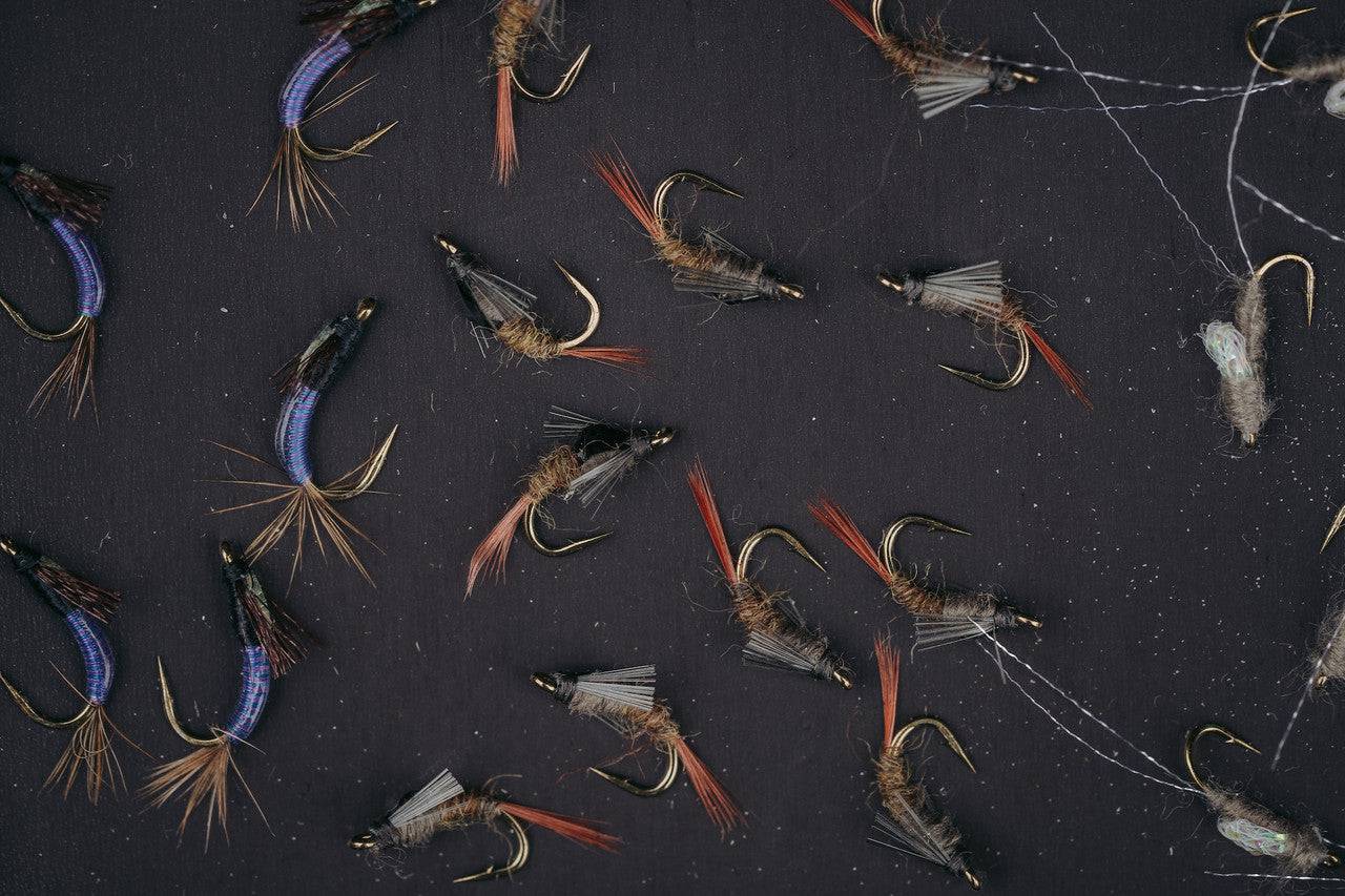 Upg Foam Magneto - Nextwavemarket