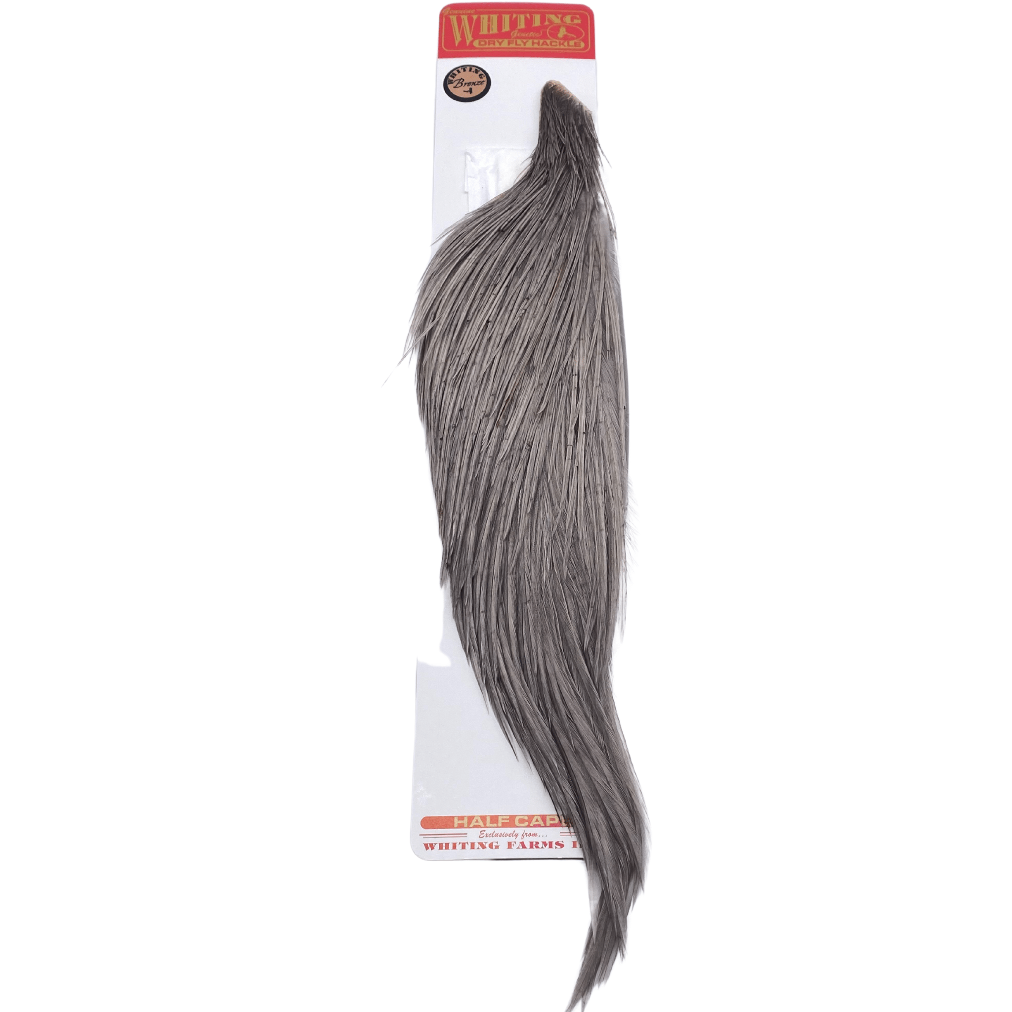 Whiting 1/2 Cape - Bronze Grade - Nextwavemarket