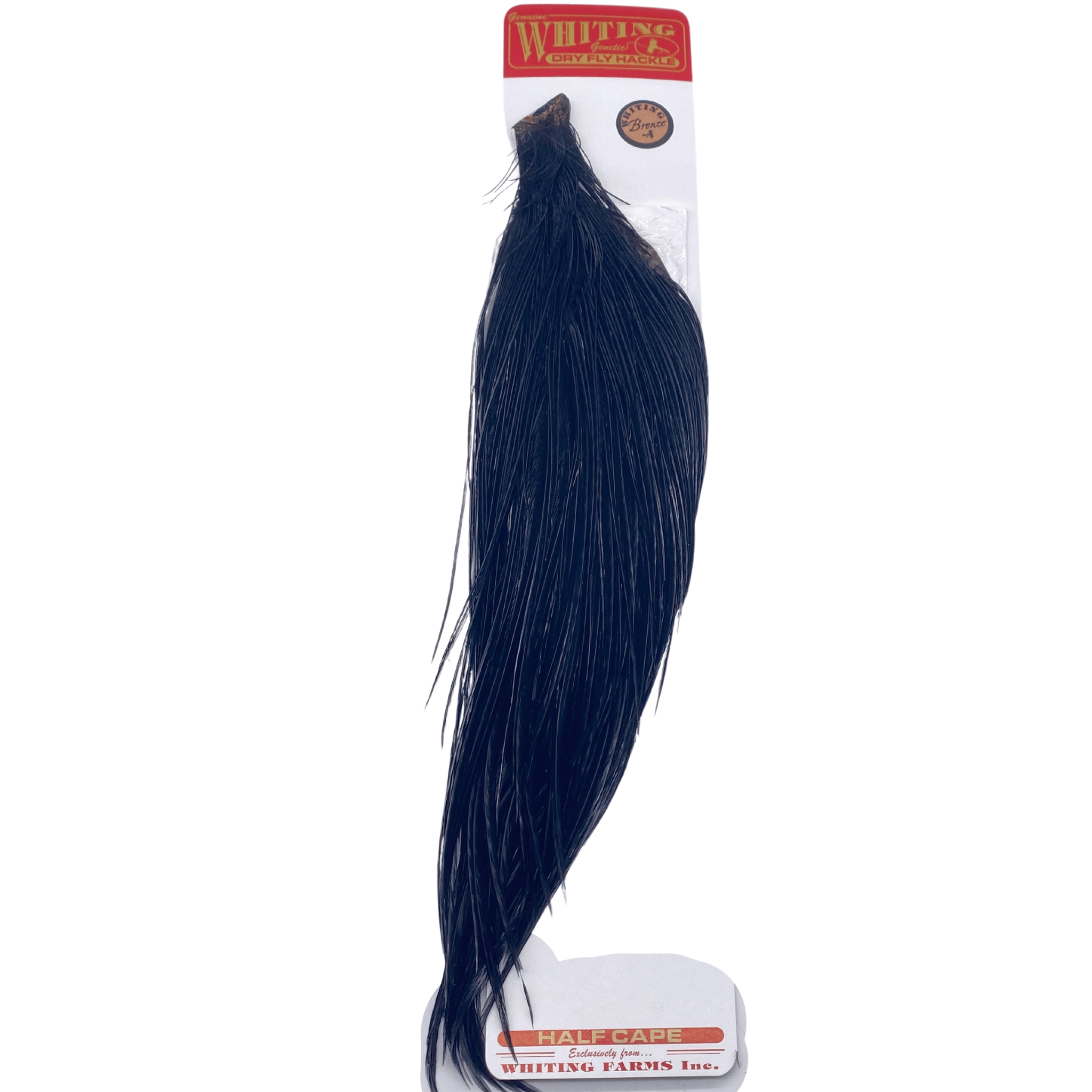 Whiting 1/2 Cape - Bronze Grade - Nextwavemarket