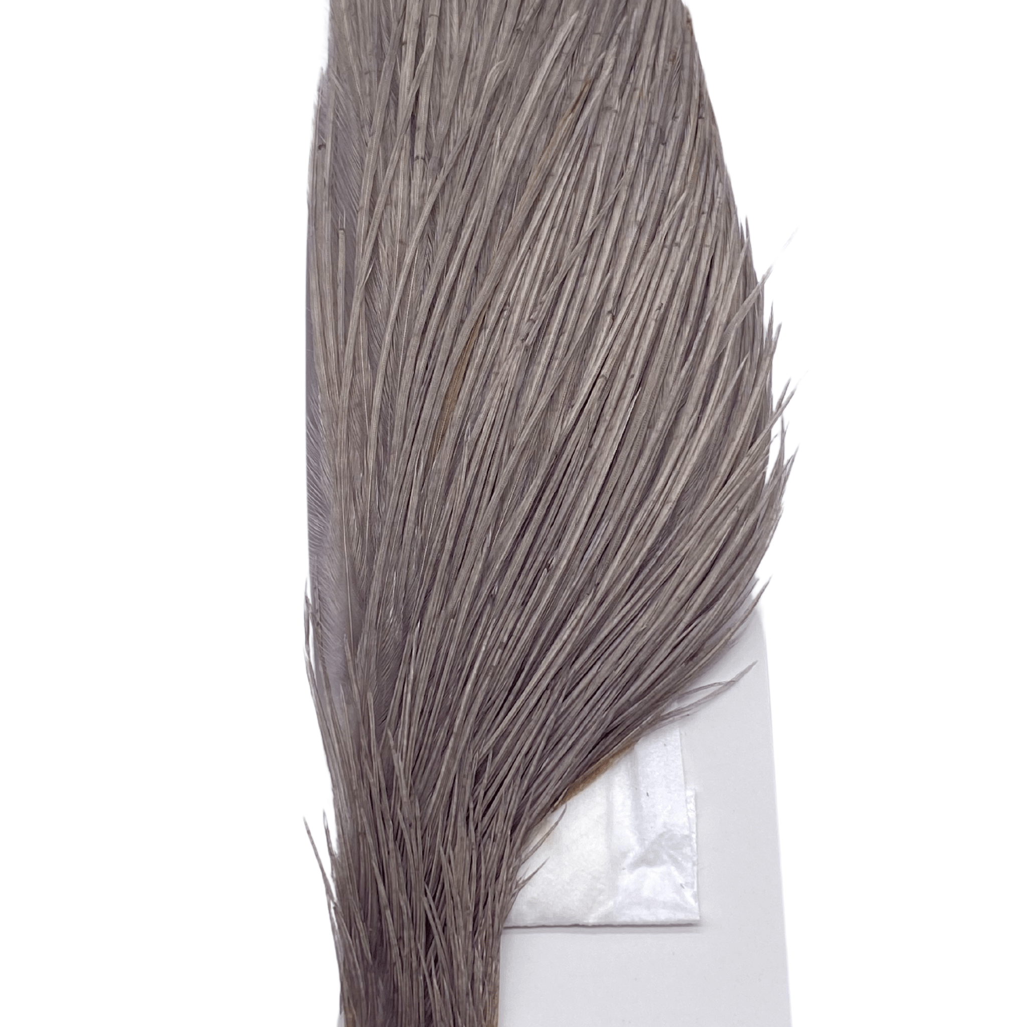 Whiting 1/2 Cape - Bronze Grade - Nextwavemarket