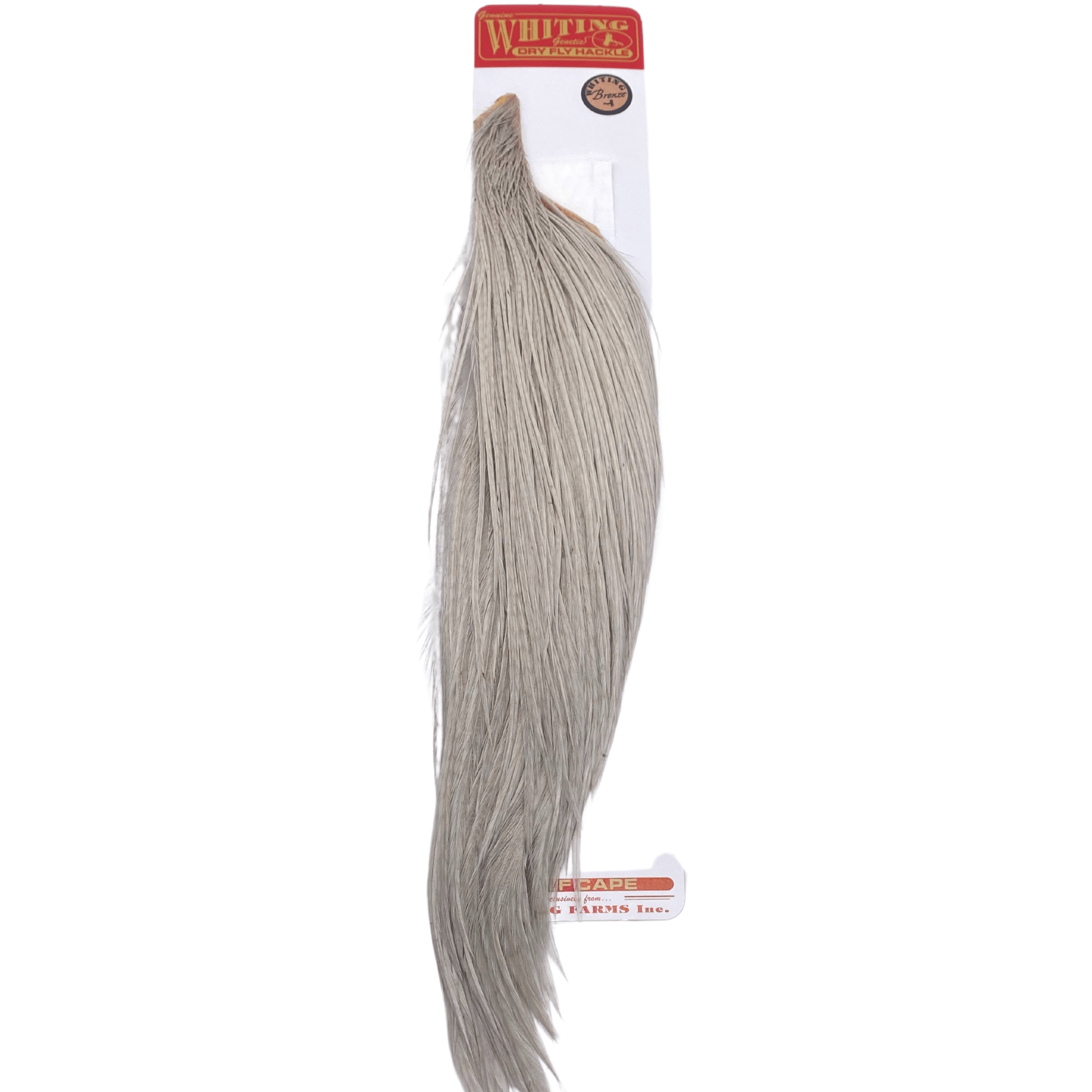 Whiting 1/2 Cape - Bronze Grade - Nextwavemarket