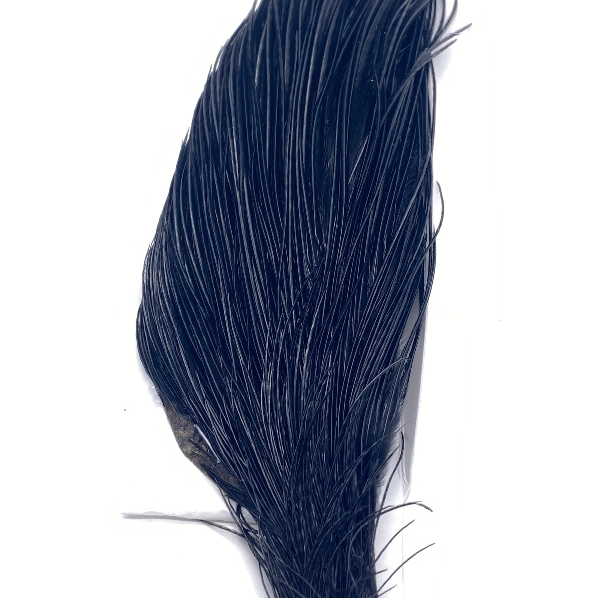 Whiting 1/2 Cape - Bronze Grade - Nextwavemarket