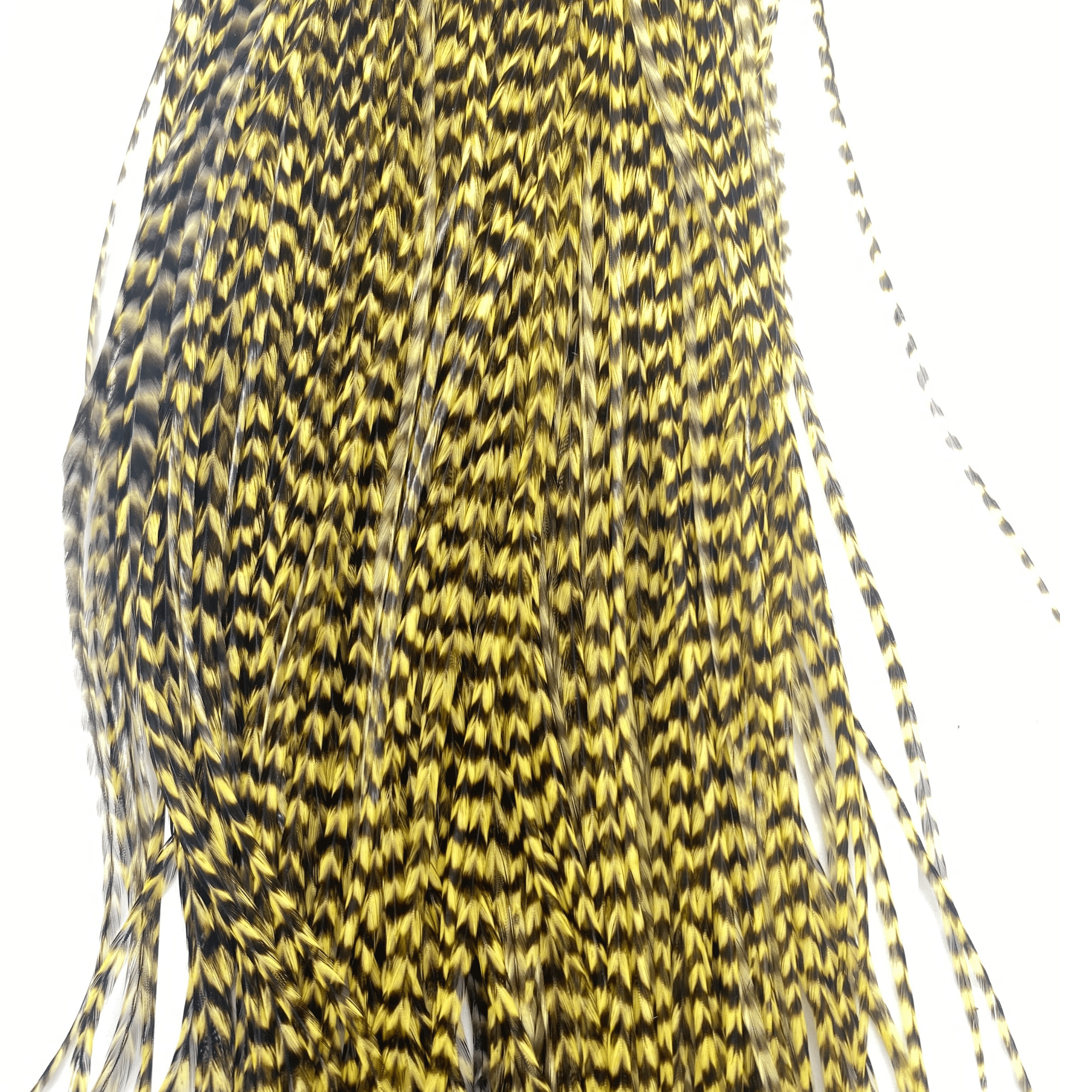 Whiting 1/2 Saddle - Bronze Grade - Nextwavemarket