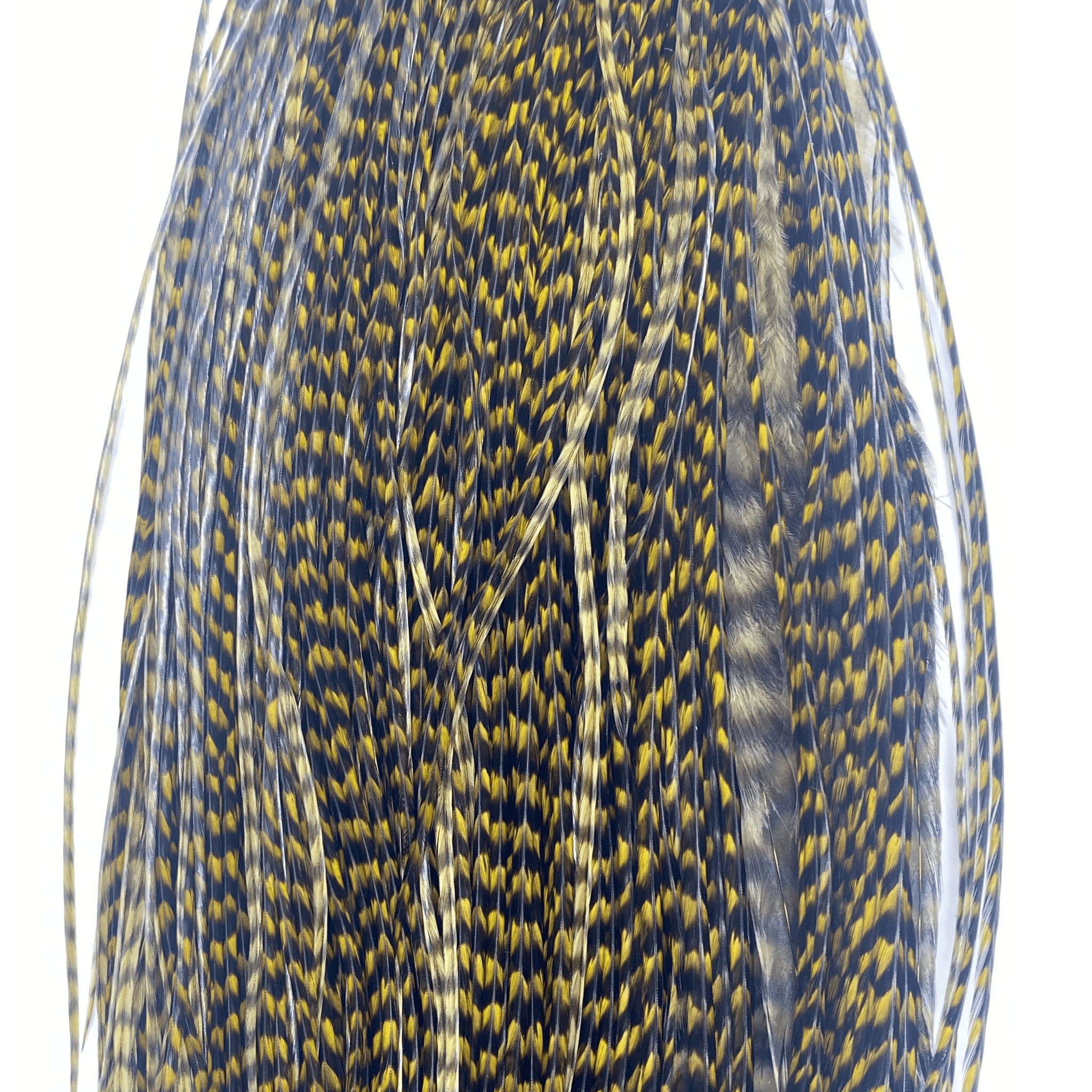 Whiting 1/2 Saddle - Bronze Grade - Nextwavemarket