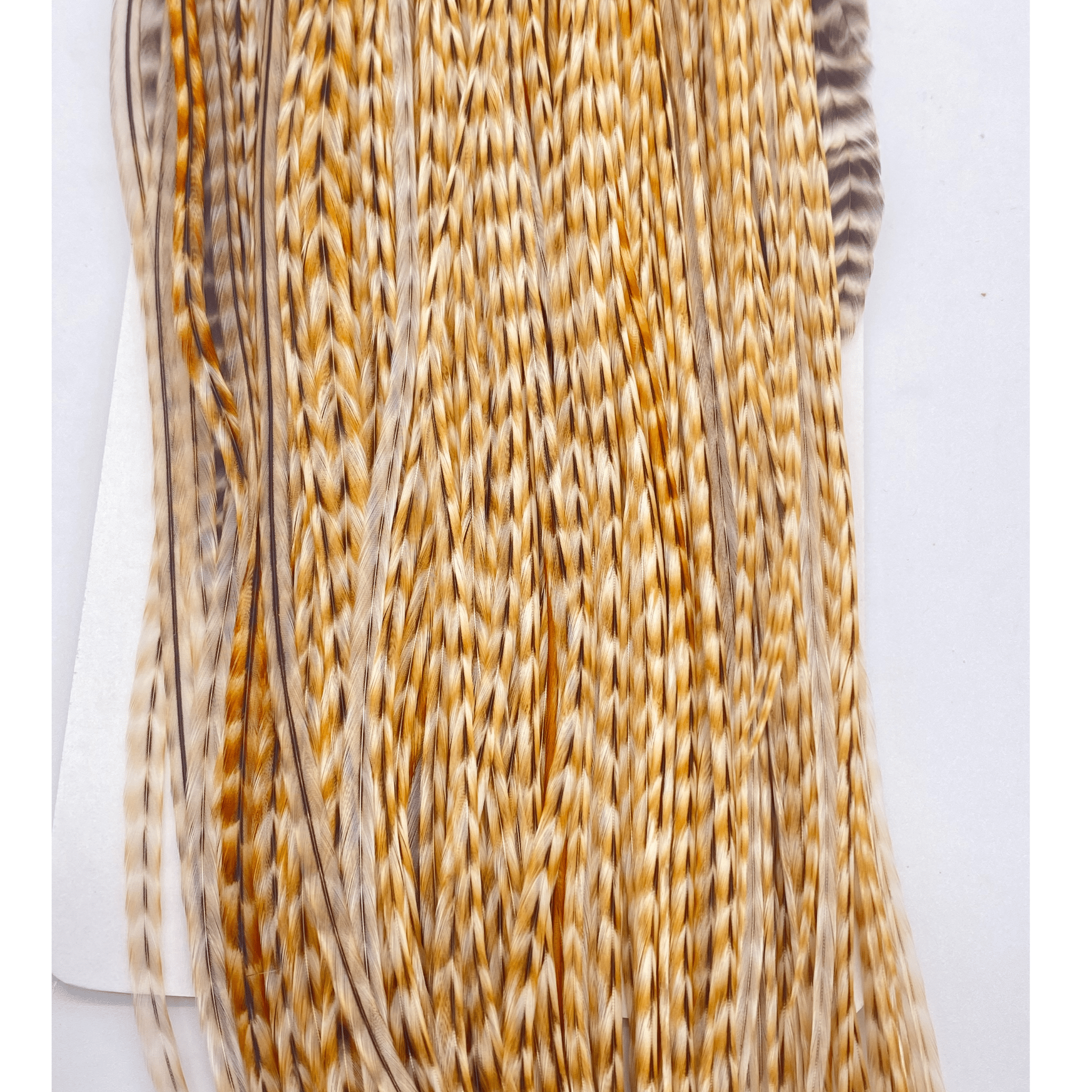 Whiting 1/2 Saddle - Bronze Grade - Nextwavemarket