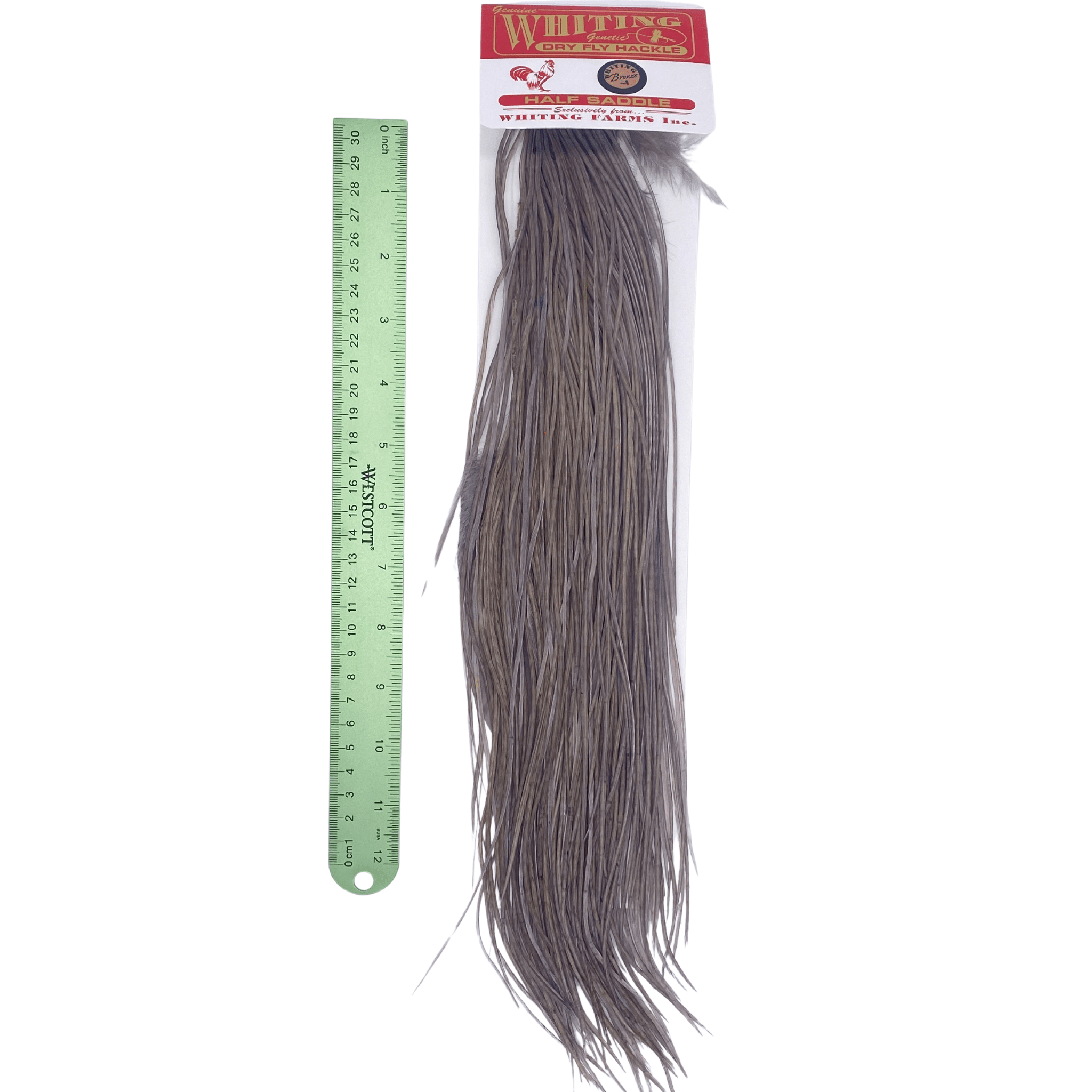 Whiting 1/2 Saddle - Bronze Grade - Nextwavemarket