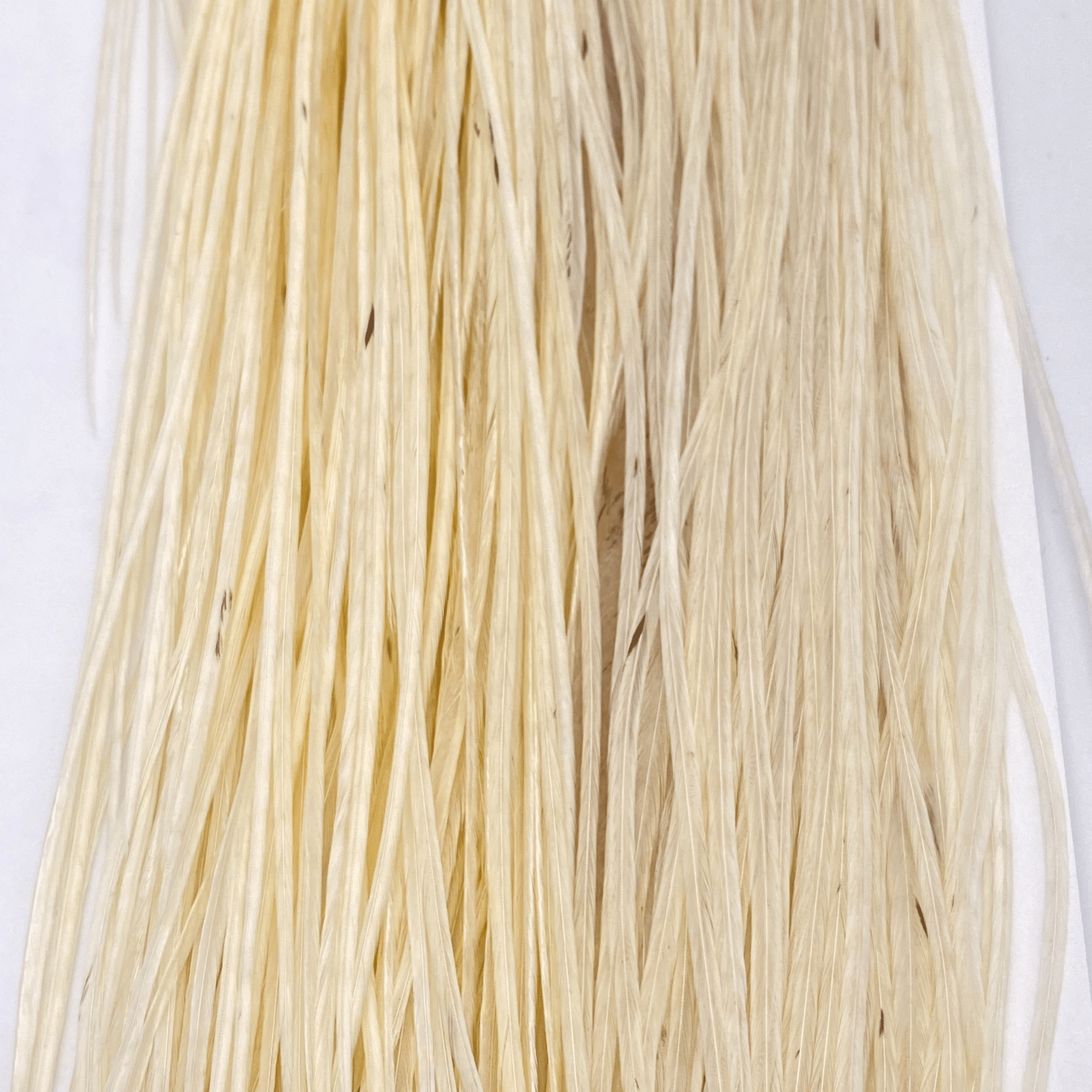 Whiting 1/2 Saddle - Bronze Grade - Nextwavemarket