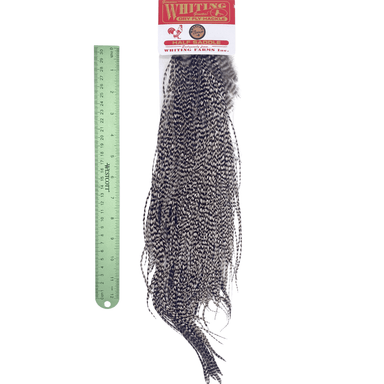 Whiting 1/2 Saddle - Bronze Grade - Nextwavemarket