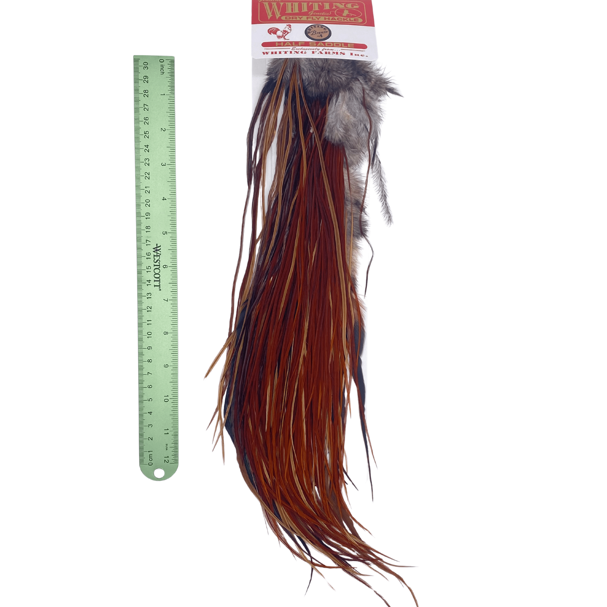 Whiting 1/2 Saddle - Bronze Grade - Nextwavemarket