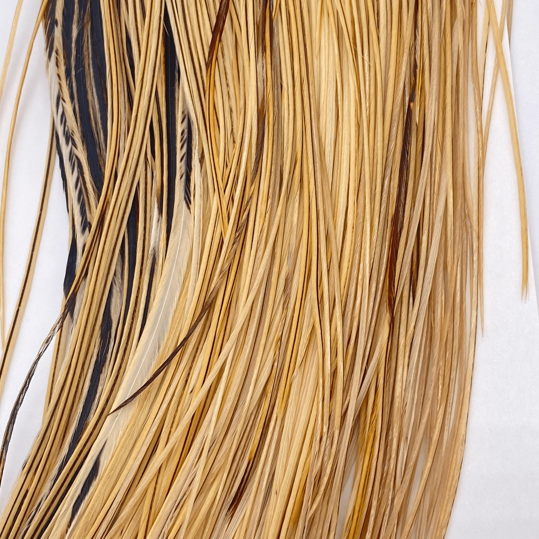 Whiting 1/2 Saddle - Bronze Grade - Nextwavemarket