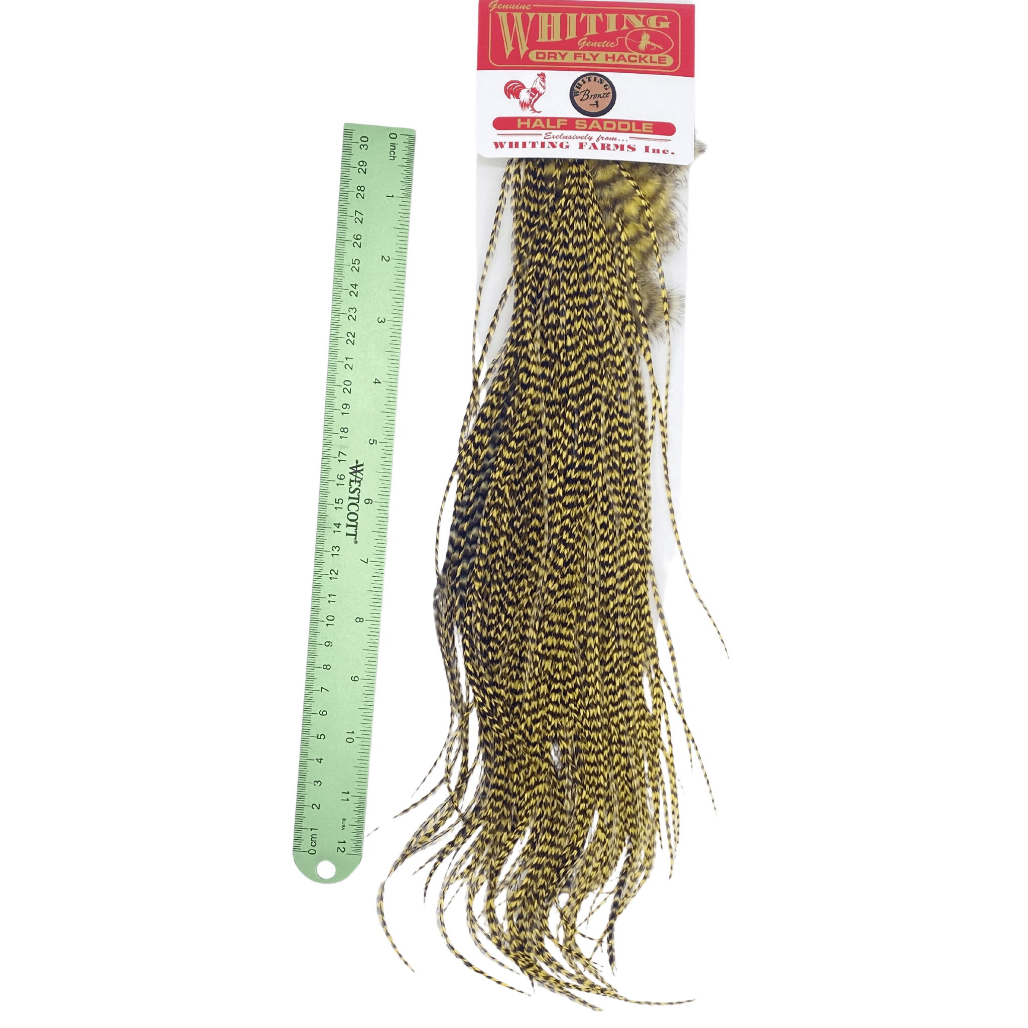 Whiting 1/2 Saddle - Bronze Grade - Nextwavemarket