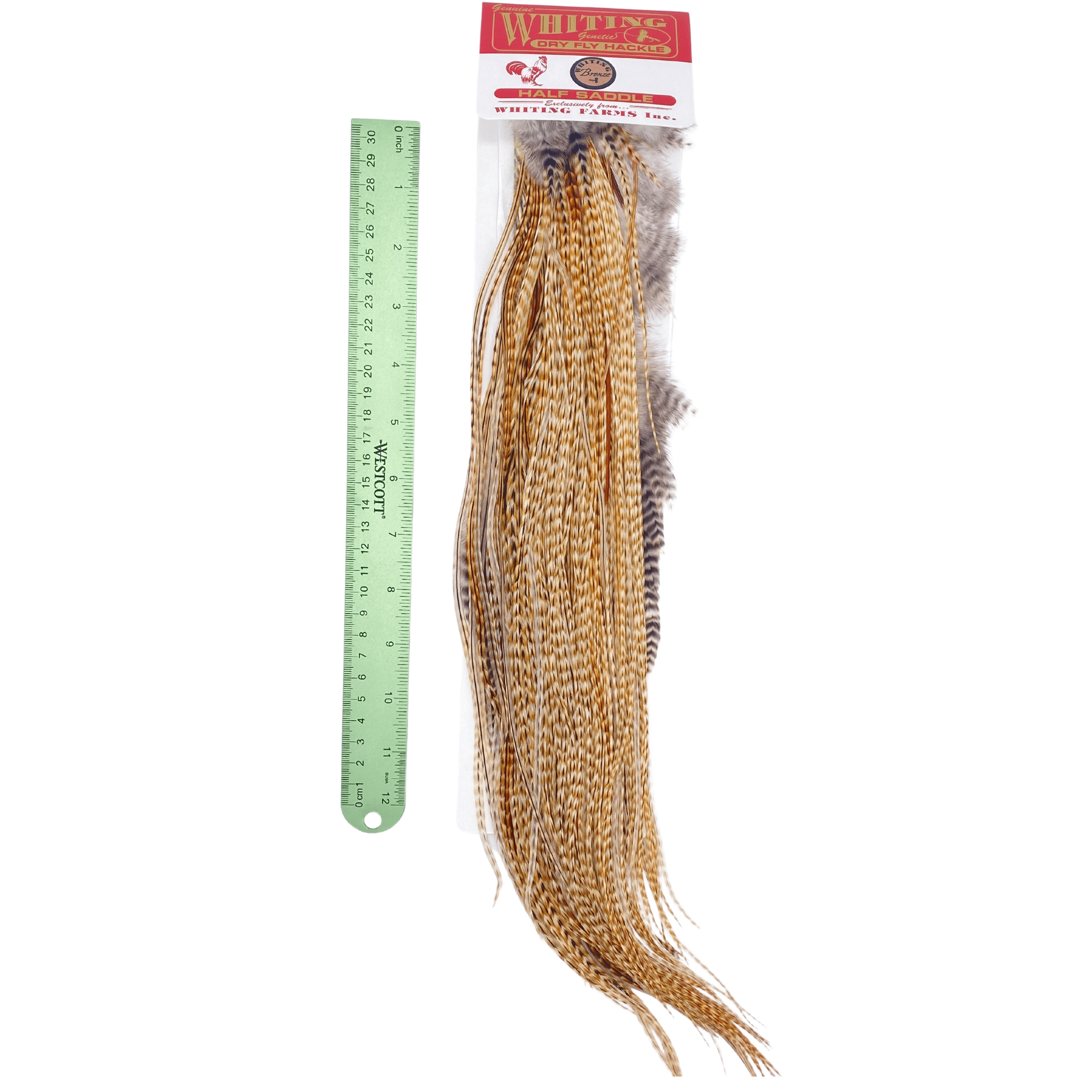 Whiting 1/2 Saddle - Bronze Grade - Nextwavemarket