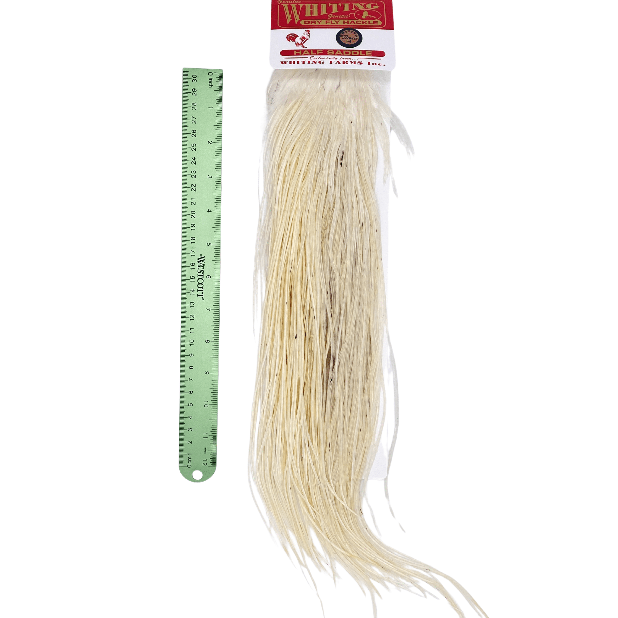 Whiting 1/2 Saddle - Bronze Grade - Nextwavemarket