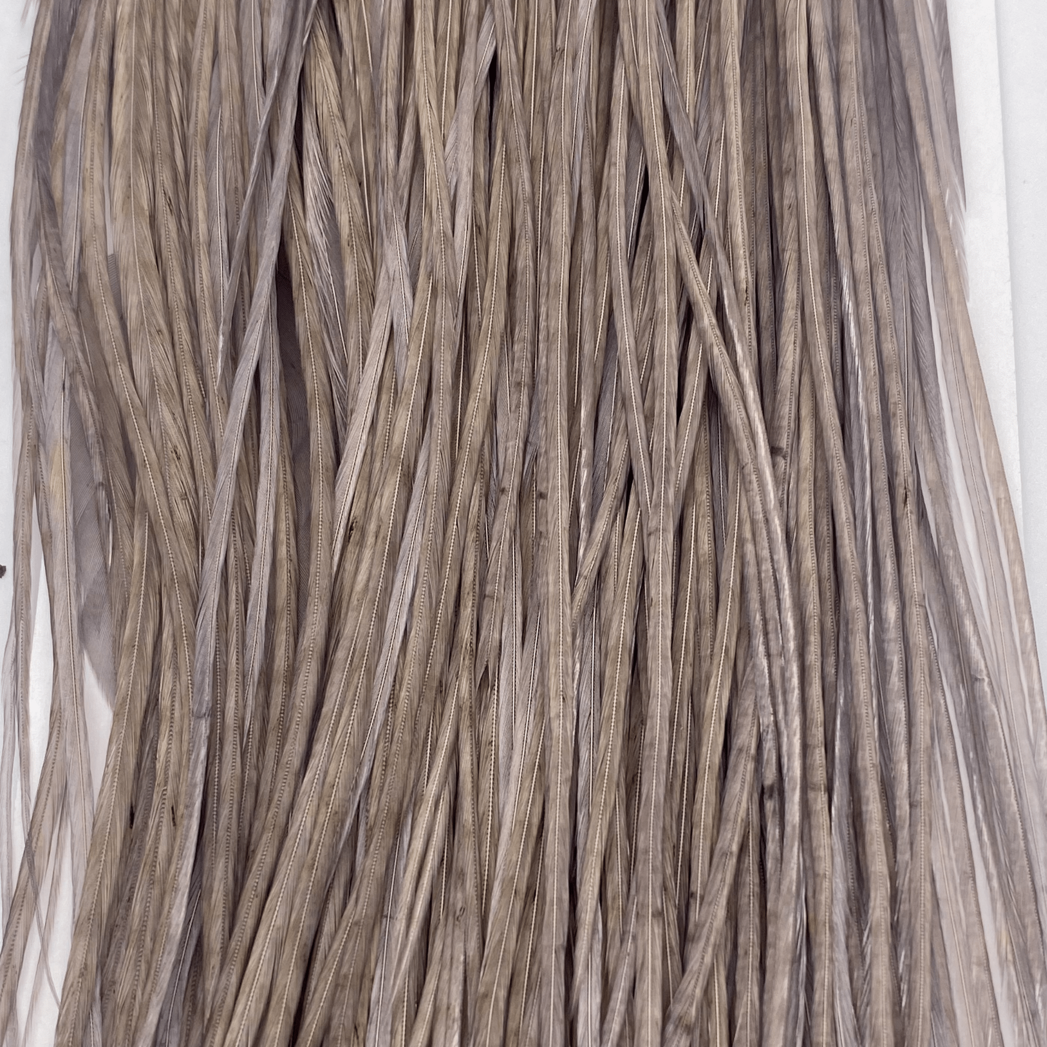 Whiting 1/2 Saddle - Bronze Grade - Nextwavemarket