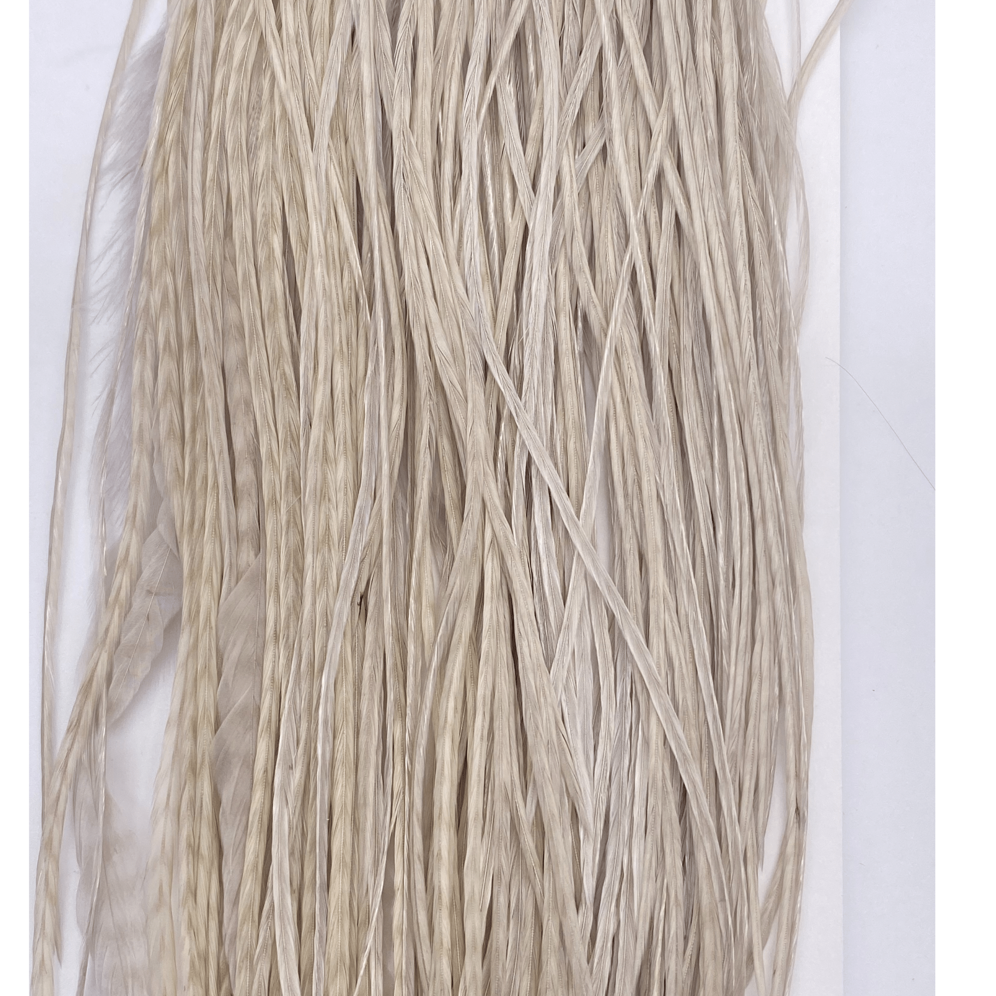 Whiting 1/2 Saddle - Bronze Grade - Nextwavemarket