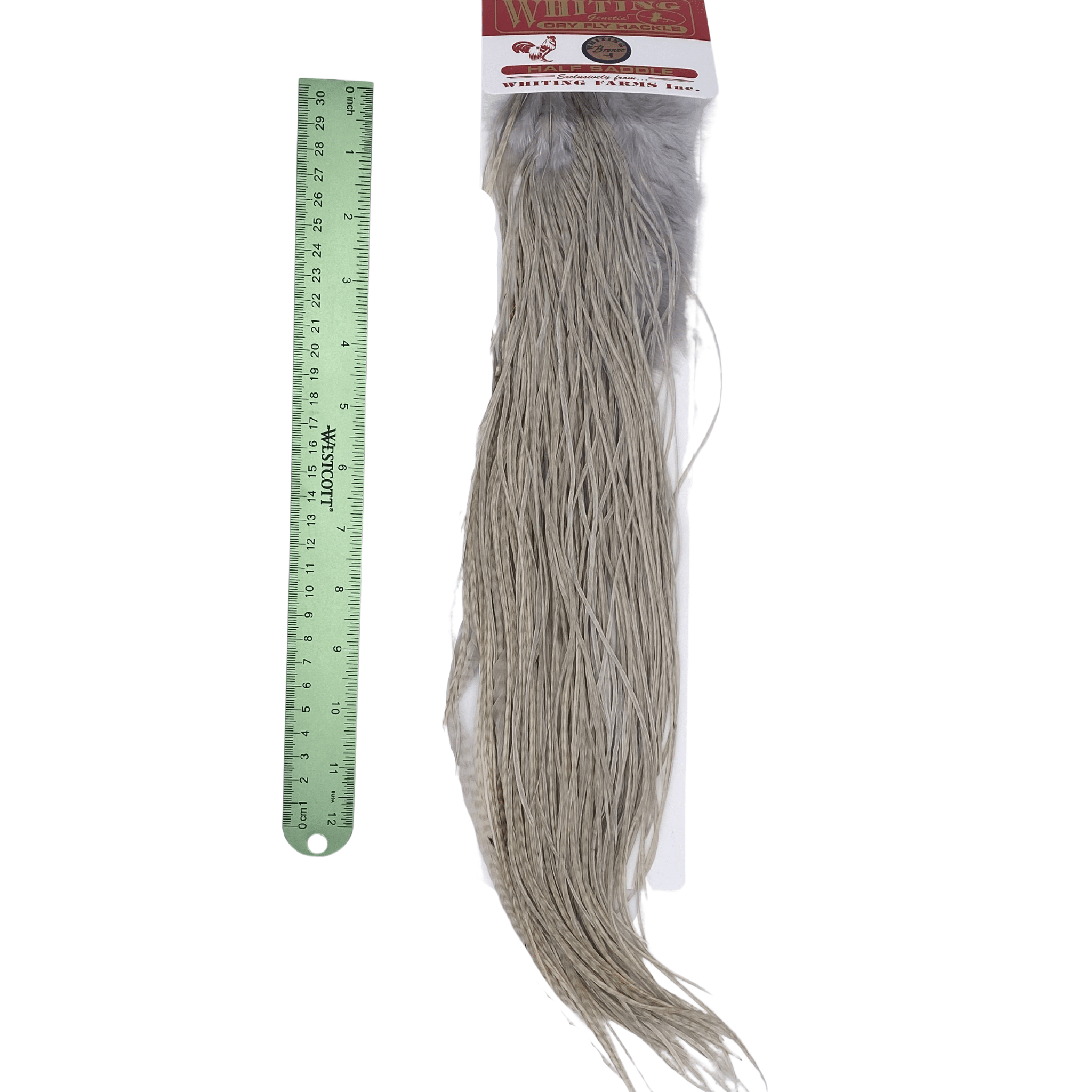 Whiting 1/2 Saddle - Bronze Grade - Nextwavemarket