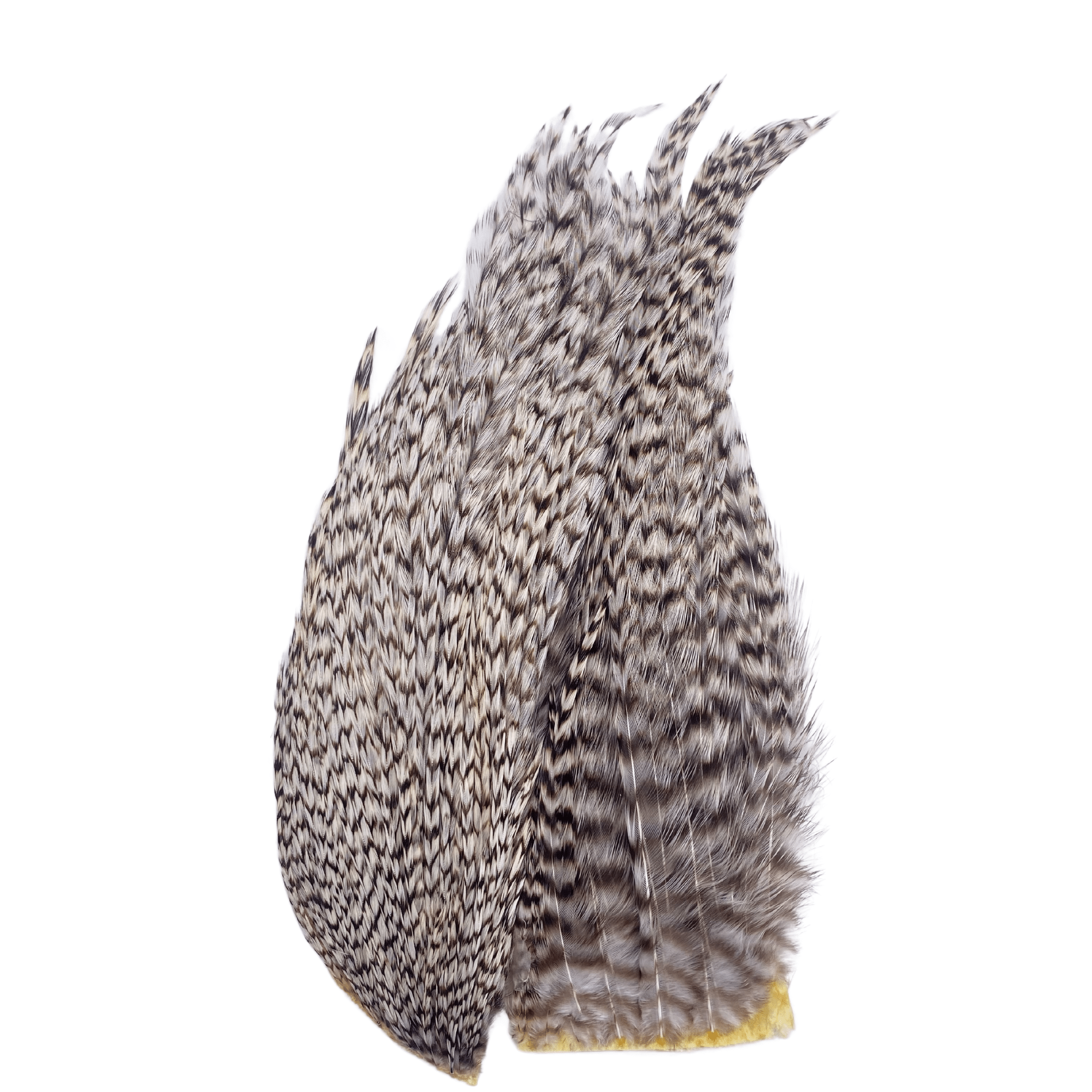 Whiting Bugger Pack - Nextwavemarket