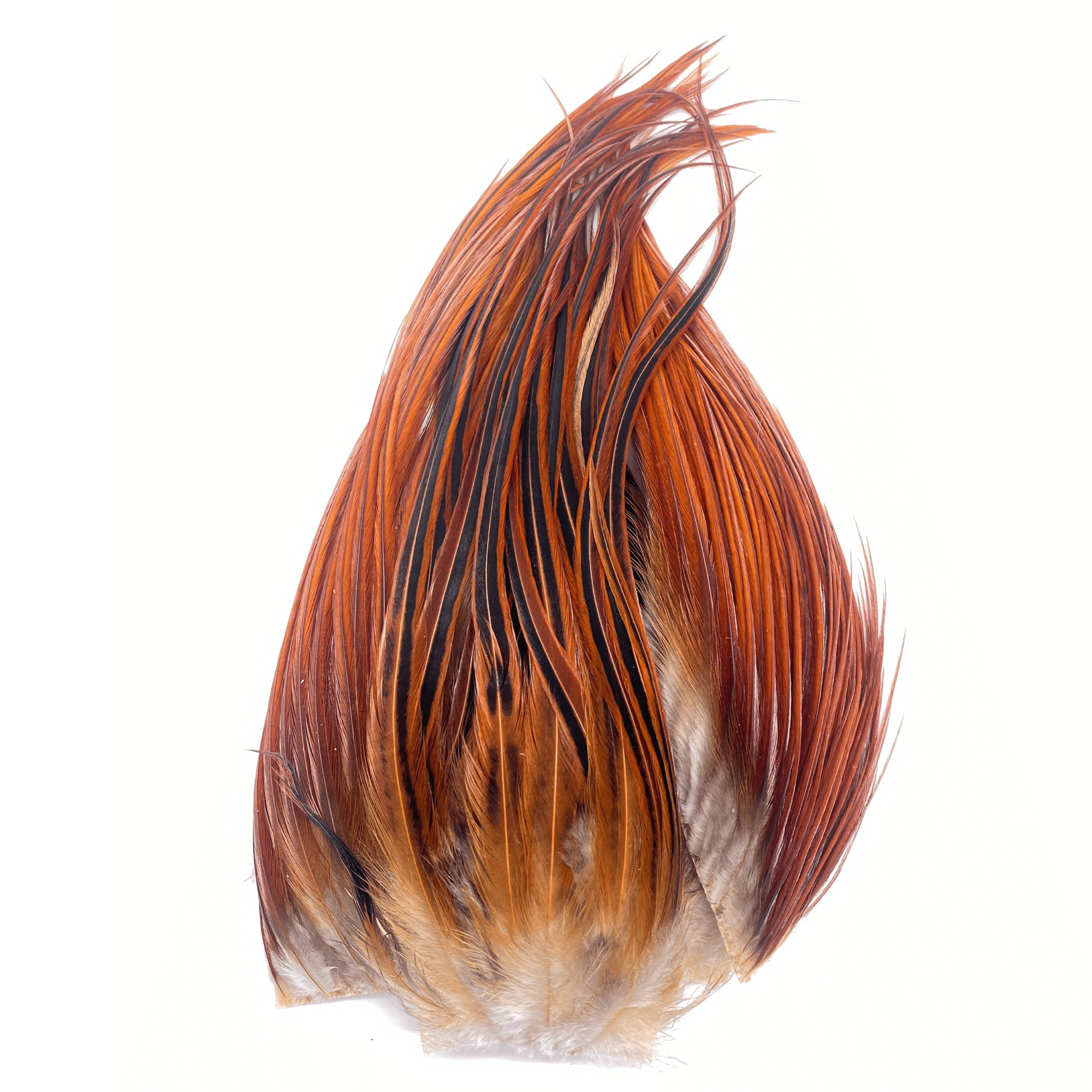 Whiting Bugger Pack - Nextwavemarket