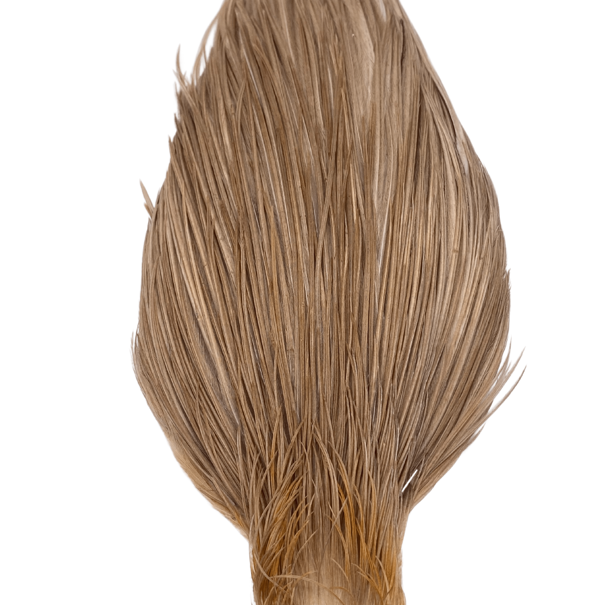 Whiting Hebert Miner Cape - Bronze Grade - Nextwavemarket