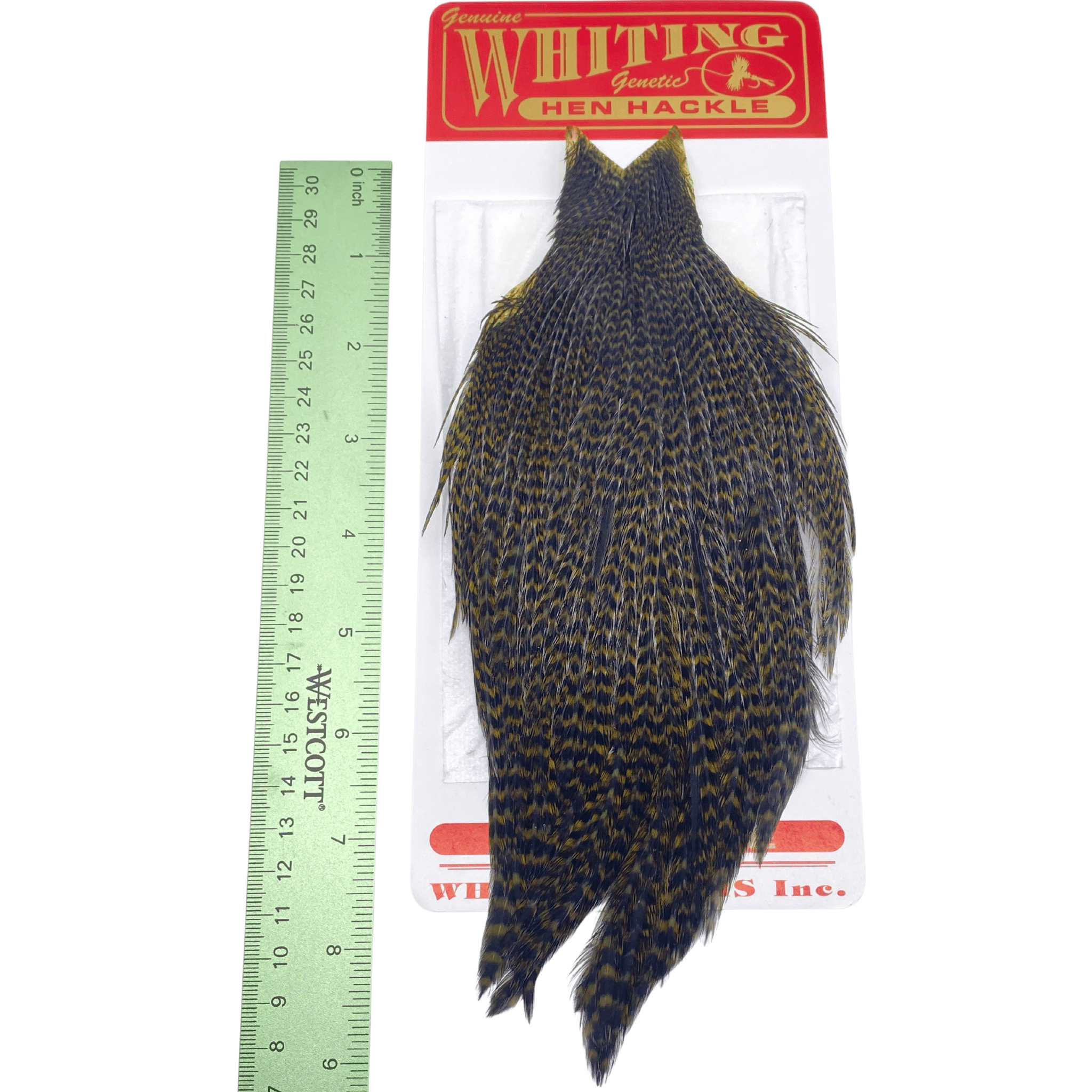 Whiting Hen Cape - Nextwavemarket